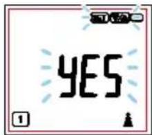 TANITA BC-333LE - Adjusting Date of Birth / Gender - 2