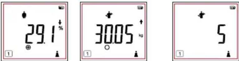 TANITA BC-333LE - Reviewing Measurement Results - 3