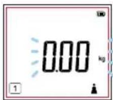 TANITA BC-333LE - Measuring Your Body Composition - 1