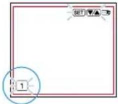 TANITA BC-333LE - Hinweis: - 1