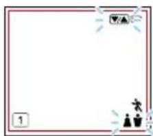 TANITA BC-333LE - Select Female or Male - 1