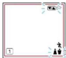 TANITA BC-333LE - Remarque: - 3