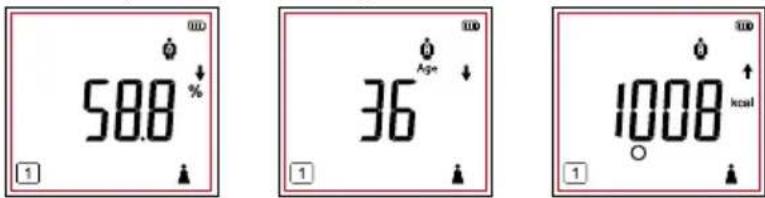 TANITA BC-333LE - Reviewing Measurement Results - 1