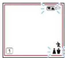 TANITA BC-333LE - Geschlecht einstellen - 1