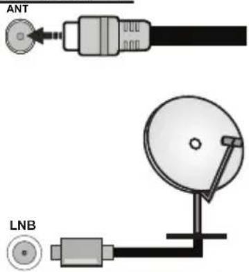 SALORA 55QLED320 - Antenna Connection - 1