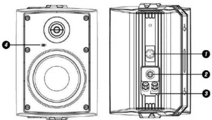 Power Dynamics WS40AB - 4