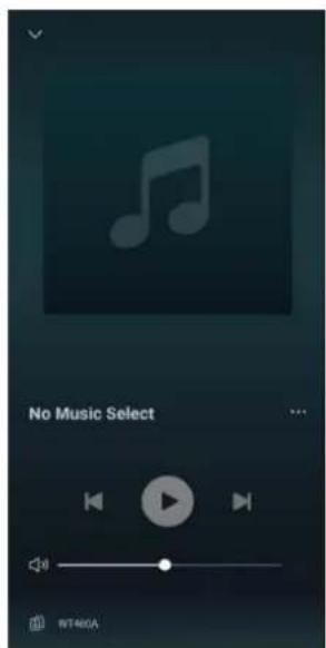 Power Dynamics WT460A - WIIM LEGACY PLAYER APP SETUP - 23