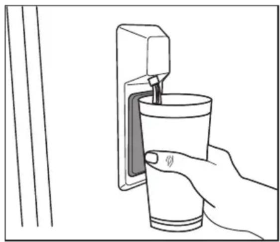 BEKO GN1426240ZDXBRN - Dispensing water - 4