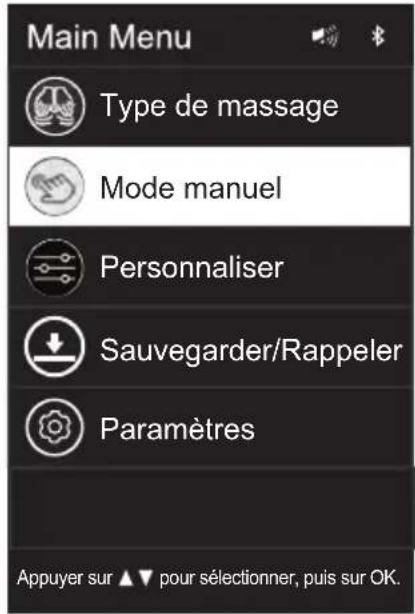 INSIGNIA NS-MGC600BK2 - Options de réglage du mode manuel - 1