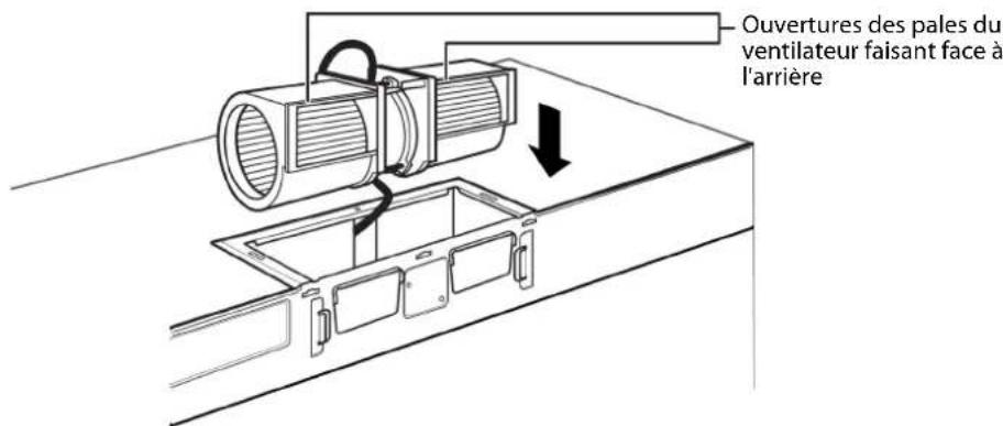 Ouvertures des pales du ventilateur faisant face à l'arrière