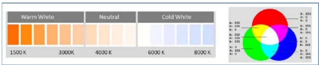 THEBEN DALI-Gateway P64 KNX - Couleur XY - 4