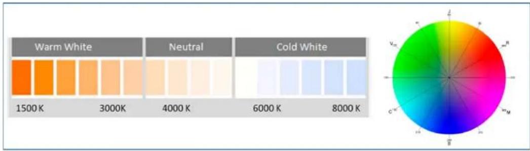 THEBEN DALI-Gateway P64 KNX - Couleur XY - 3