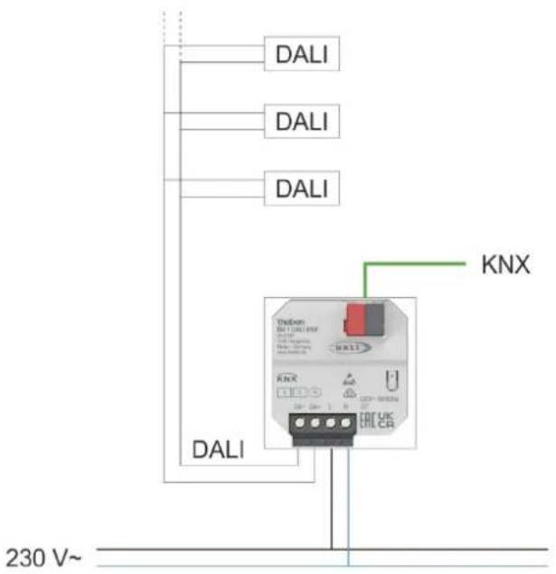 THEBEN DU 1 DALI S RF KNX - Schéma de principe - 1
