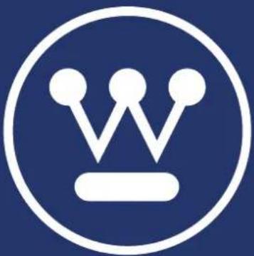WESTINGHOUSE iGen5000c - DÉPANNAGE - 1