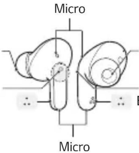 Micro. Micro B.