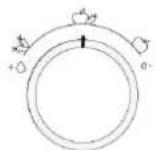 BAUKNECHT KGITN 18F2 M - Humidity Control* (Rütubētin idàrə olunmasi) - 1