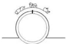 BAUKNECHT KGITN 18F2 M - Multi Fresh Zone - 1