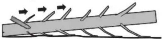 WORX WG325E - Takken van de gevelde boom afzagen - 1