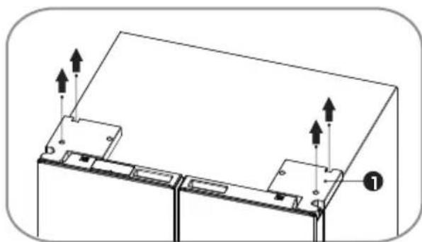 HISENSE RQ5P470SMFE - Door Removal (if needed) - 1