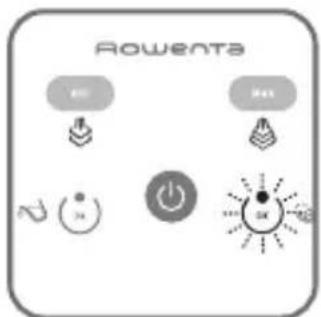 ROWENTA Perfect Steam Pro DG8624 - 1