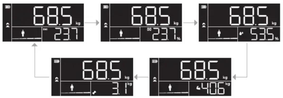 TERRAILLON X-Line Connect - Gewicht und Messwerte - 1