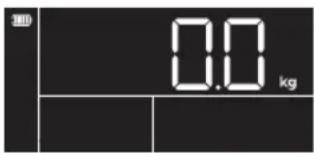 TERRAILLON X-Line Connect - Initialisierung - 1