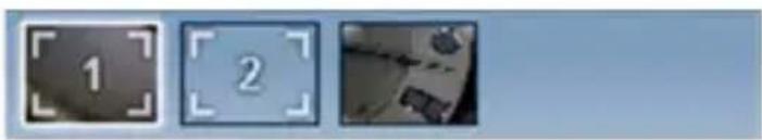 Dino-Lite Digital Microscope - Preview window management bar - 1