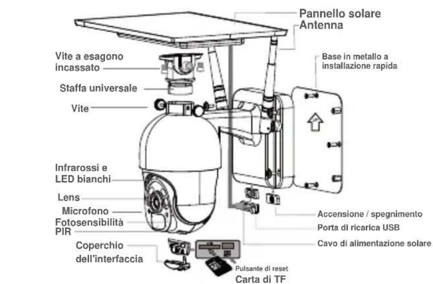 Ctronics S20-G - Dettagli del prodotto - 1