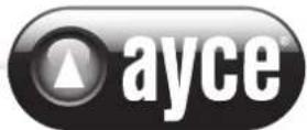 AYCE AGS 10 8 Li - TECHNISCHE DATEN - 1