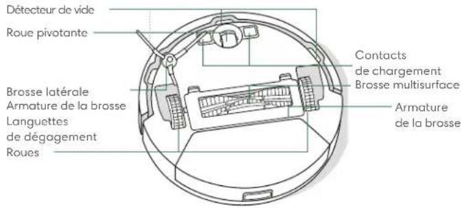 Détecteur de vide Roue pivotante Brosse latérale Armature de la brosse Languettes de dégagement Roues Contacts de chargement Brosse multisurface Armature de la brosse