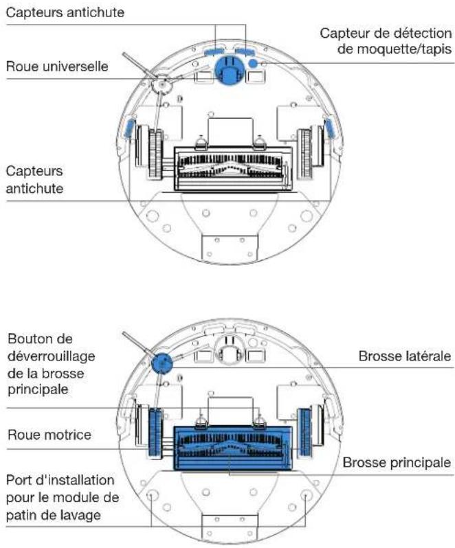 Capteurs antichute Roue universelle Capteurs antichute Capteur de détection de moquette/tapis Bouton de déverrouillage de la brosse principale Roue motrice Port d'installation pour le module de patin de lavage Brosse latérale Brosse principale