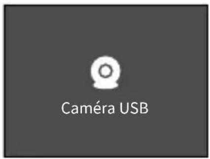 Akaso Brave 8 Lite - Mode Webcam - 2