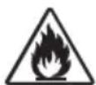 Simpson Megashot MS61367 - RISK OF BURNING - 1