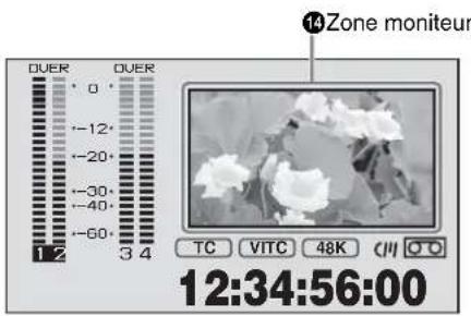 14Zone moniteur DOER DOER TC VITC 48K CII QO 12:34:56:00