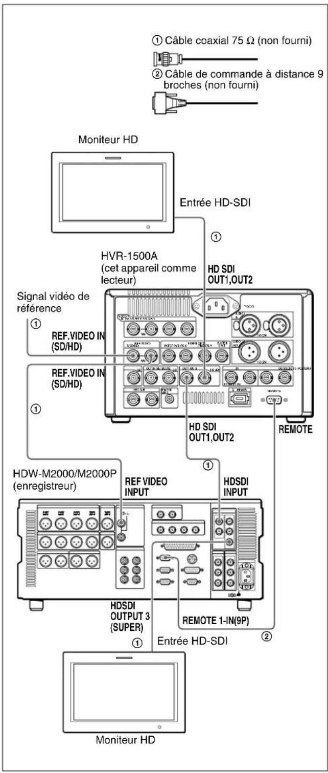 ① Câble coaxial 75 Ω (non fourni) ② Câble de commande à distance 9 broches (non fourni) Moniteur HD Entrée HD-SDI HVR-1500A (cet appareil comme lecteur) Signal vidéo de référence ① REF.VIDEO IN (SD/HD) ① REF.VIDEO IN (SD/HD) HDW-M2000/M2000P (enregistreur) REF VIDEO INPUT HDSDI INPUT HDSDI OUTPUT 3 (SUPER) ① ENTRÉE HD-SDI REMOTE 1-IN(9P) REMOTE HD SDI OUT1,OUT2 HD SDI OUT1,OUT2 ① Moniteur HD