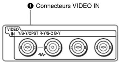 Connecteurs VIDEO IN VIDEO IN Y/S-Y/CPST R-Y/S-C B-Y