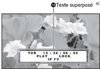 15 Texte superposé a) TCR 12 : 34 : 56 : 00 PLAY LOCK IP FV