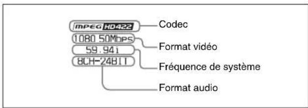 SONY XDS-PD2000 - ⑤ Format d'enregistrement/de lecture - 1