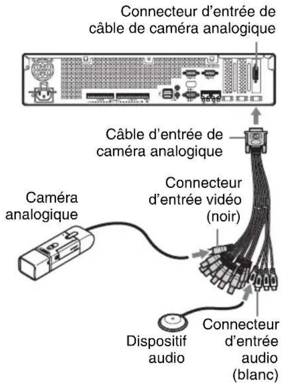 Connecteur d'entrée de câble de caméra analogique Câble d'entrée de caméra analogique Caméra analogique Connecteur d'entrée vidéo (noir) Dispositif audio Connecteur d'entrée audio (blanc)