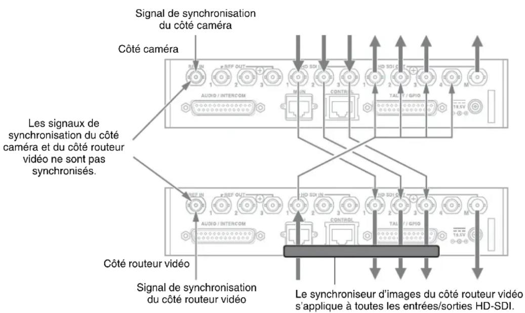 Signal de synchronisation du côté caméra Côté caméra Les signaux de synchronisation du côté caméra et du côté routeur vidéo ne sont pas synchronisés. Côté routeur vidéo Signal de synchronisation du côté routeur vidéo Le synchroniseur d'images du côté routeur vidéo s'applique à toutes les entrées/sorties HD-SDI.