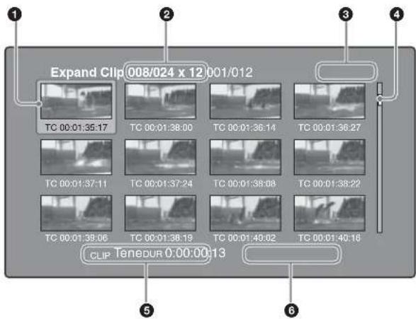 SONY PDW-HR1 - Ecran de vignettes étendues - 1