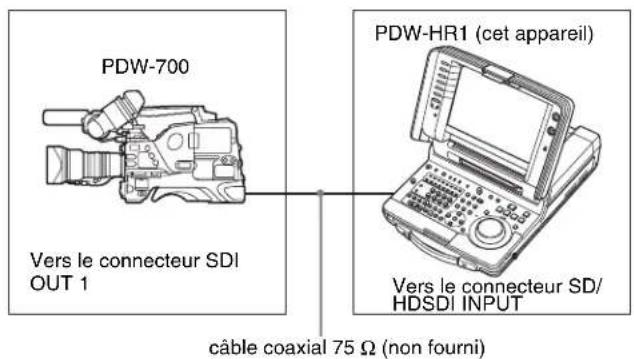 SONY PDW-HR1 - Connexions pour couverture groupée - 1