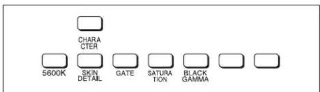 CHARACTER 5600K SKIN DETAIL GATE SATURATION BLACK GAMMA