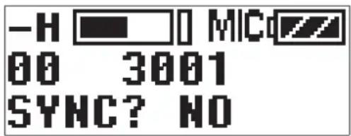 -H □ MIC# 00 3001 SYNC? NO