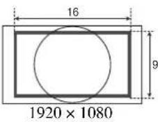 SONY PVM-2551MD - SANS SCINTILL. - 6