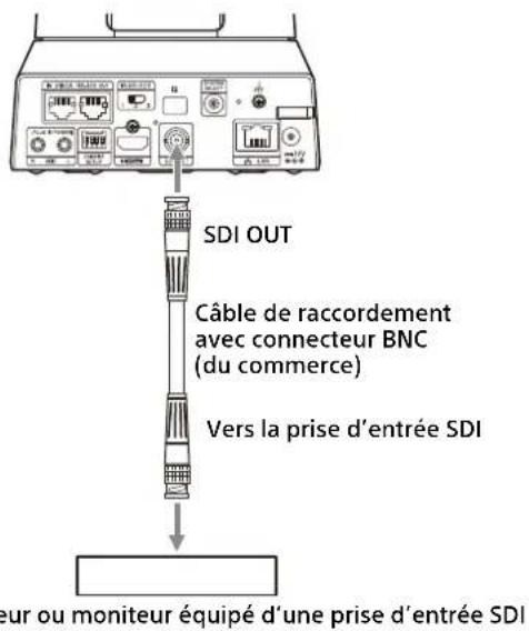 SONY SRG-X402 - Raccordement d'une seule caméra à un commutateur, un enregistreur ou un moniteur - 3