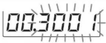 003001