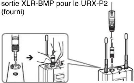 sortie XLR-BMP pour le URX-P2 (fourni)