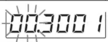 003001