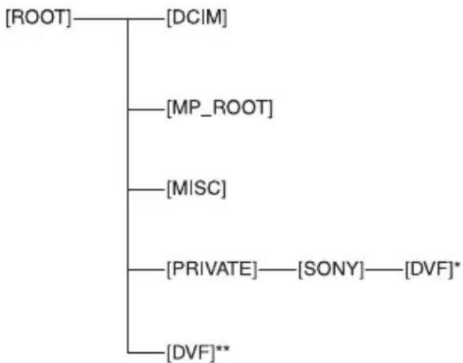 SONY NEX-EA50K - DV mode folder structure - 1